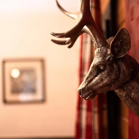 Hot Chili - Nassfeld Daire *