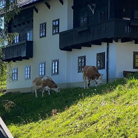 Hot Chili - Nassfeld הרמגור