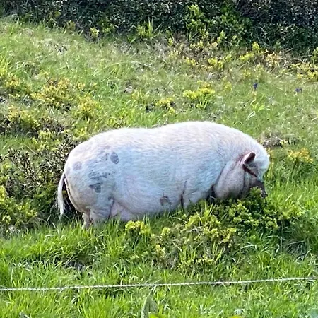 Hot Chili - Nassfeld * Hermagor-Pressegger See