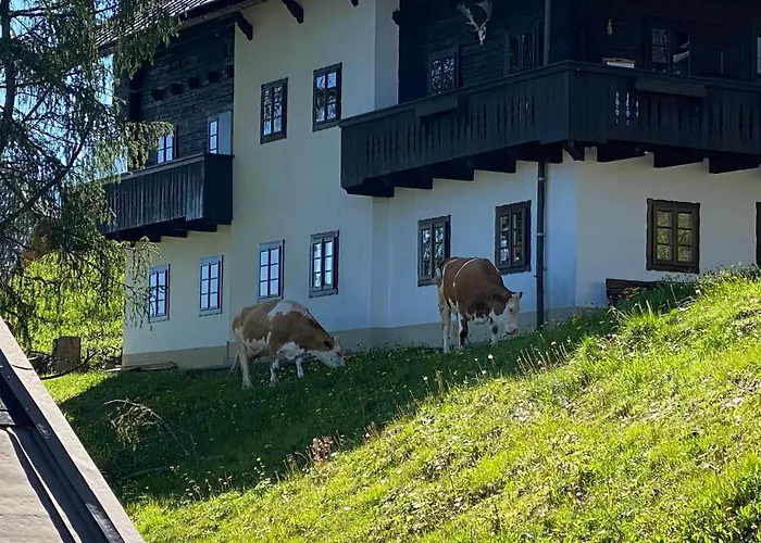 Hot Chili - Nassfeld הרמגור